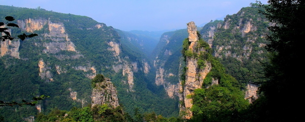 中國(guó)有機(jī)谷