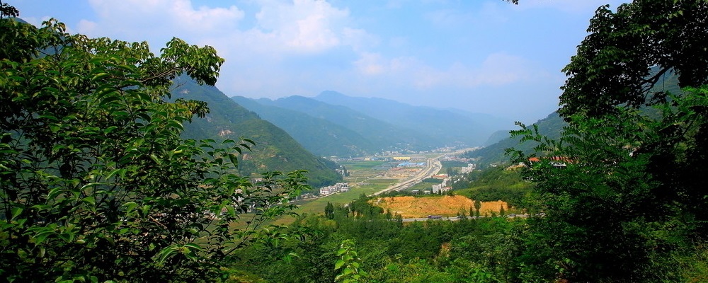 中國(guó)有機(jī)谷