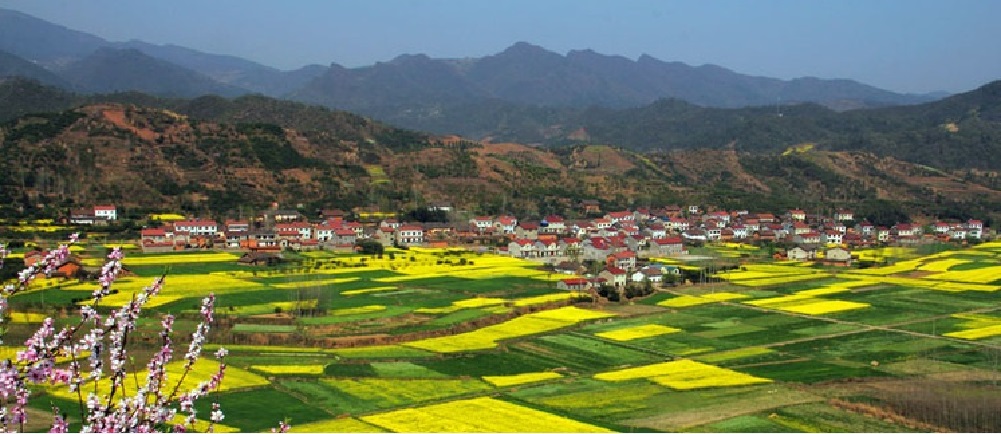 中國(guó)有機(jī)谷