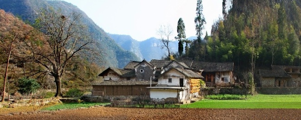 中國(guó)有機(jī)谷