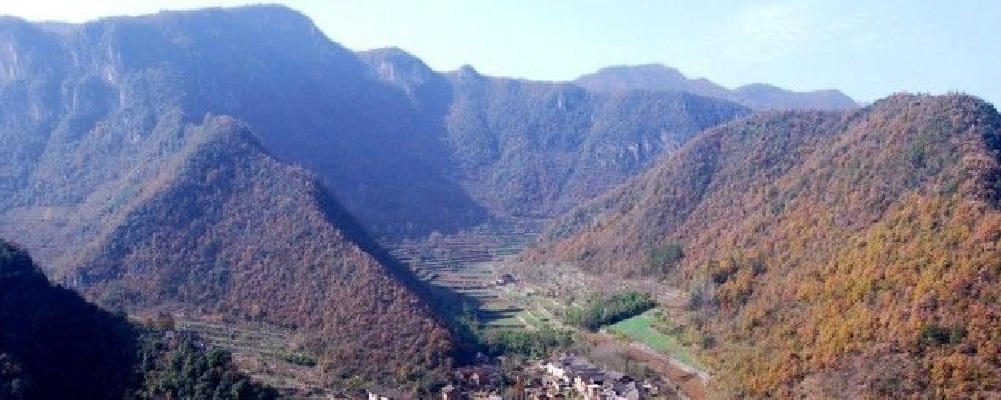 中國(guó)有機(jī)谷