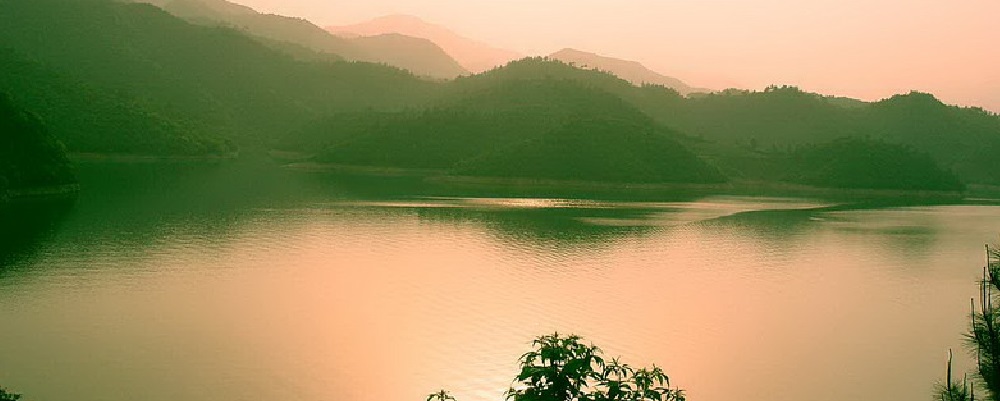 中國(guó)有機(jī)谷